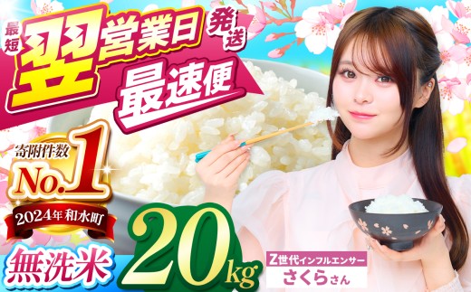 【 最短 翌営業日 ～ 7営業日で発送 】【 チョイス限定 】 熊本県産 ほたるの灯り 無洗米 20kg | 令和7年産 小分け 5kg × 4袋  熊本県 熊本 くまもと 和水町 なごみ 単一米 単一原料米 ブレンド米 複数原料米 小分け 熊本県産 こめ 米 無洗米 ごはん 銘柄米  日本遺産 菊池川流域  返礼品 訳あり 規格外 不揃い SDGs  無洗米 お米マイスター 独自ブレンド
