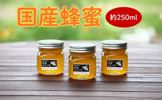 国産蜂蜜　約250ml [No.351] ／ はちみつ 無添加 酵素 岐阜県