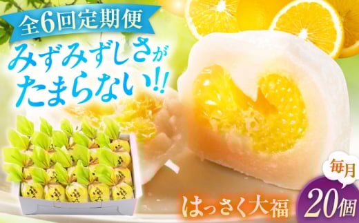 【ふるさと納税】【全6回定期便】お菓子 はっさく大福20個入　 お菓子 大福 八朔 柑橘 みかん オレンジ 餅 ギフト お取り寄せ スイーツ フルーツ大福 ご当地 菓子 おかし デザート 食品 人気 おすすめ 広島県福山市/株式会社虎屋本舗[BADH031]