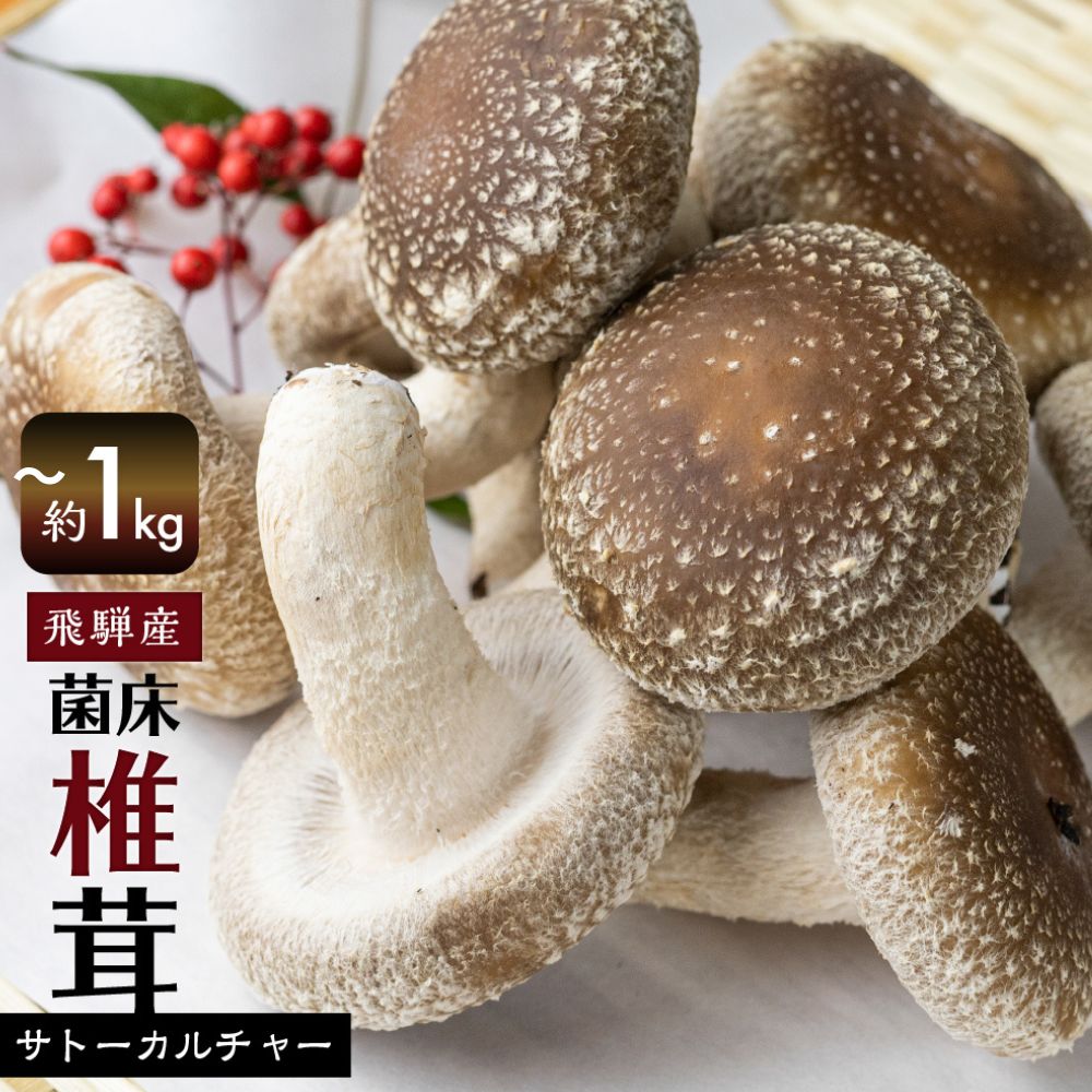 【ふるさと納税】《先行予約》菌床しいたけ 選べる内容量 約400g 約100g×4パック　約1kg 約100g×10パック 枚数おまかせ 国産 椎茸 シイタケ 生しいたけ きのこ キノコ 鍋 すきやき すき焼き ［Q2368wx］5000円 5千円 10000円 1万円