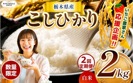 【定期2回】 訳あり 数量 限定 定期便 令和8年度 栃木県産コシヒカリ 約 2kg | 数量限定 こしひかり  精米 白米 米 ごはん おいしい  密閉パック ふるさと納税 那珂川町 栃木県 送料無料 【栃木県共通返礼品】