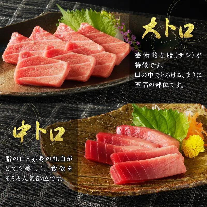 【定期便10回】南鮪 1本 総重量約29kg（各月約2.9kg） (m10-001)