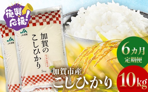 【定期便】【６カ月連続お届け】 令和7年産 こしひかり 10kg(5kg×2袋) 生活応援米 精米 銘柄米 お米 米 ギフト 贈り物 グルメ 食品 復興応援米 F6P-3223