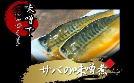 サバの味噌煮 鯖　さば　味噌煮　魚　切り身