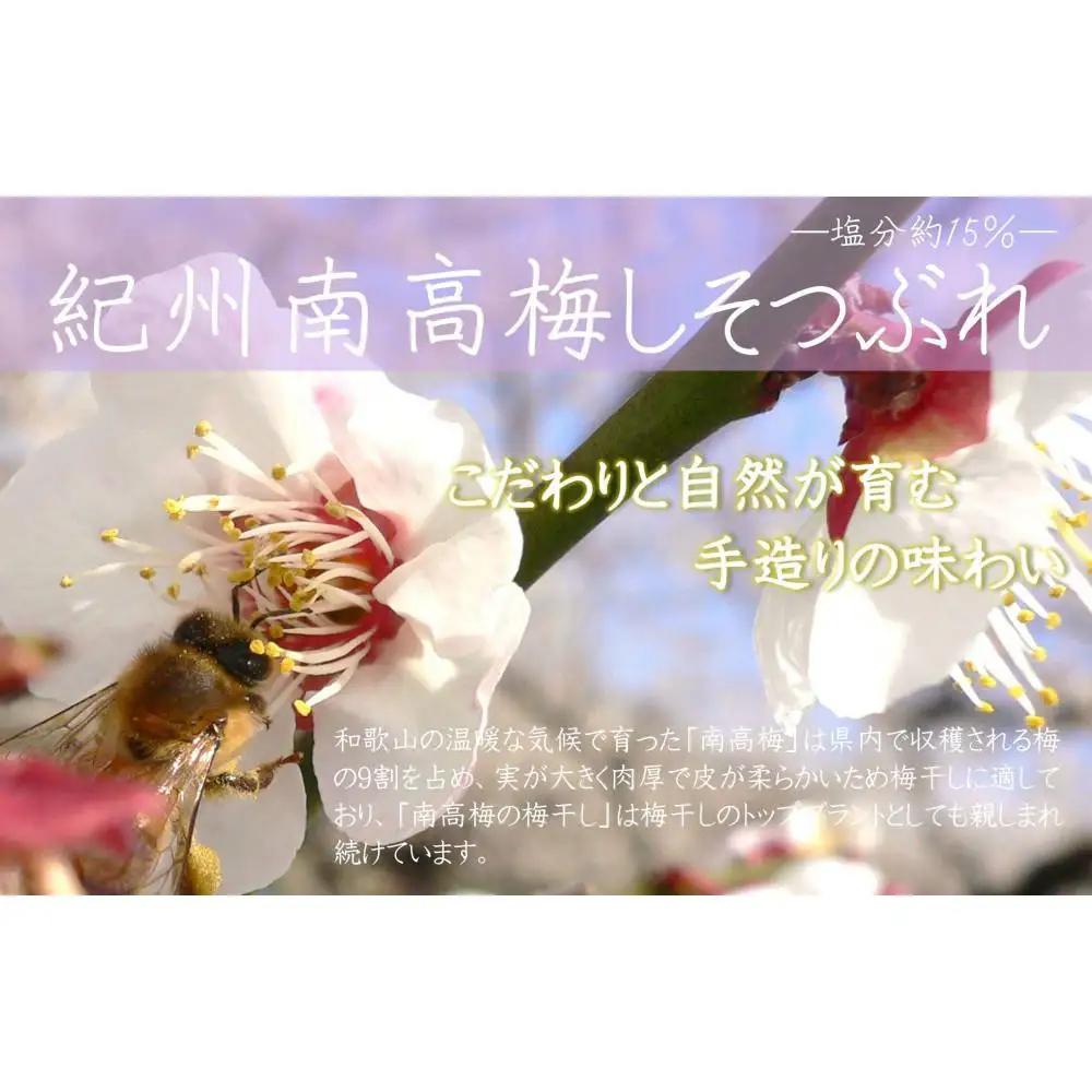 【定期便・3ヵ月毎 全3回】ご家庭用 紀州南高梅 しそ漬 つぶれ 700g×2 ［YM16］