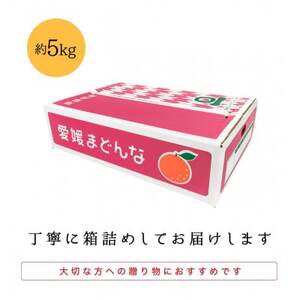 産地直送 国安さんちの愛媛まどんな 贈答用 約5kg 【F20-31】【1340000】