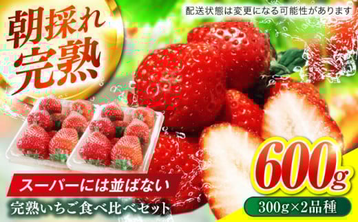 いちご 岐阜県産いちご 食べ比べ セット 完熟 苺 おいしい 美味しい イチゴ ストロベリー 果物 フルーツ 旬 甘い ジューシー デザート 2品種 詰め合わせ かおり野 ほしうらら スターナイト 恋みのり 紅ほっぺ おいCベリー ベリーポップすず ギフト プレゼント 贈り物 贈答 お返し 内祝い お祝い おすすめ 人気 岐阜市 / セイントベリー [ANFX001]