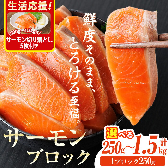 【ふるさと納税】＜生活応援！サーモン切り落とし5枚付き＞＜内容量が選べる！＞ 生食用 サーモン ブロック (250g～1.5kg) 鮭 小分け 真空 パック 冷凍 刺身 シャケ サケ 魚 魚介【AW-97・AW-98・AW-99・AW-100・AW-101】【丸正水産】