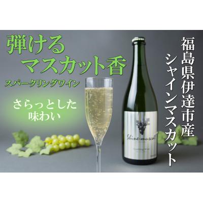 ふるさと納税 伊達市 シャインマスカットのスパークリングワイン箱付き750ml×1本