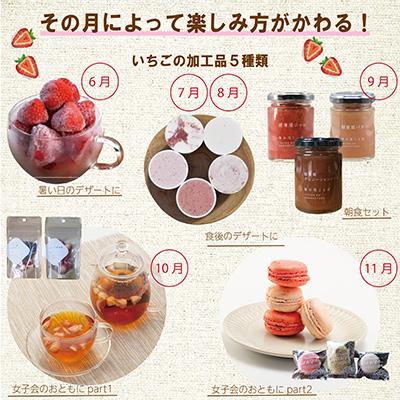 ふるさと納税 上越市 【発送月固定定期便】いちごづくし定期配送 全12回 |  | 01
