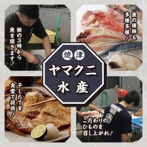 【チルドでお届け】朝干しひものセット5種以上！ (a10-431)