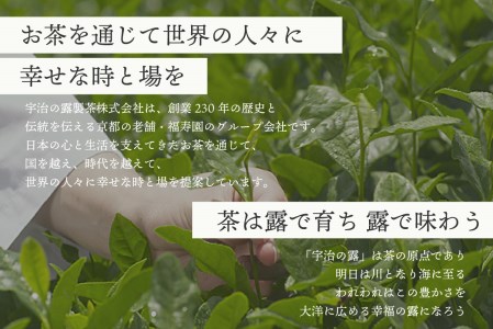 「伊右衛門」のふるさと木津川市より お茶詰合せセット（6～8品）マグカップ 付き お茶 ほうじ茶 煎茶 緑茶 インスタント お茶 セット 茶 006-01