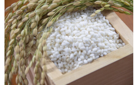 令和7年産 コシヒカリ 「聖米」 白米 10kg (5kg×2)