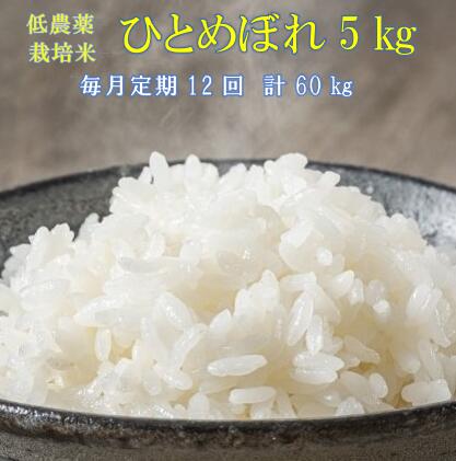 【ふるさと納税】《 新米先行予約 》定期便 12回 令和7年産 新米 低農薬栽培米 ひとめぼれ 5kg 精米 お米 ふるさと納税 ご飯 ごはん お弁当 おにぎり 東北 国産 送料無料 米 岩手県 一関市