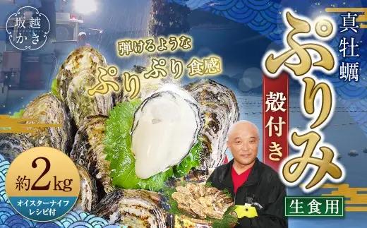 生食用 真牡蠣「ぷりみ」約2kg かき 牡蠣