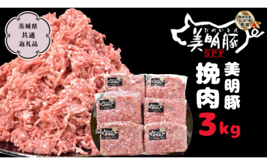 美明豚 挽肉 3kg【茨城県共通返礼品 行方市】 豚肉 国産 銘柄 グルメ 茨城県 料理 [CV002sa]