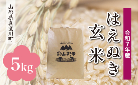 ＜令和7年産米＞ 令和8年6月下旬発送 真室川町産 はえぬき 【玄米】 5kg （5kg×1袋）　◆RR7H05M-G2606C