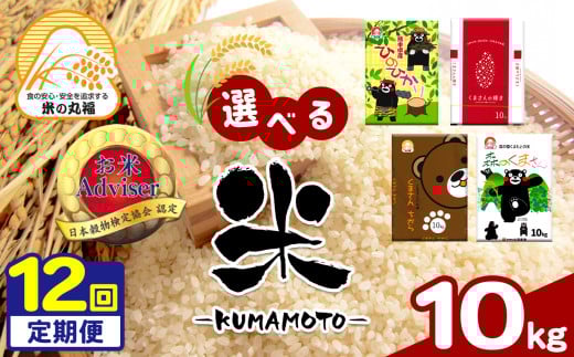 【定期便12回】 熊本県産 ひのひかり 10kg×12回 | 米 こめ お米 おこめ 白米 精米 定期 定期便 熊本県 玉名市