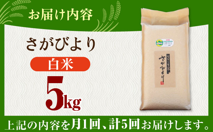 【全5回定期便】令和7年度産 ななしま家 さがびより5kg / 佐賀県 / 有限会社七島農産 [41AHAC005]