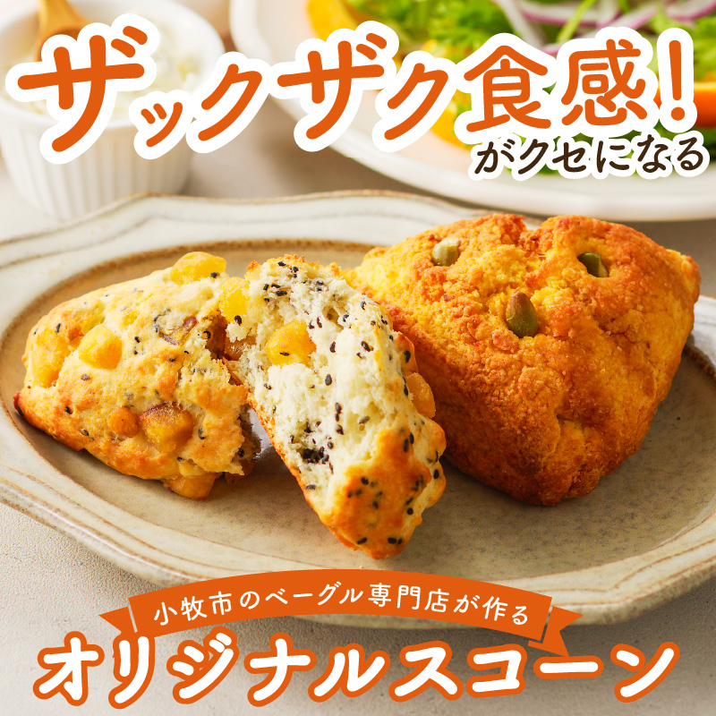 【もっちりベーグル・ザクザクスコーン】ベーグル専門店pan de pan 888のおまかせベーグル・スコーンセット（10個入り）［144P03］_イメージ3