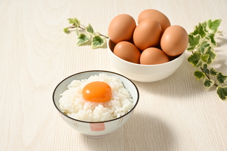 【4ヶ月定期便】料理人も「うまい！」と絶賛 昔の味たまご 20個入り（18個＋割れ補償2個）×4か月| 卵 鶏卵 玉子 たまご 生卵 国産 濃厚 コク 卵かけご飯 旨味 旨み ※着日指定不可