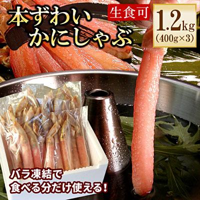 ふるさと納税 根室市 【生食可・カット済・棒肉のみ】ずわいかにしゃぶ1.2kg F-56014