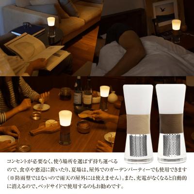 ふるさと納税 恵庭市 【世界初の全方位受光ソーラー】スフェラーランタン(カラー:白樺)【08001101】 |  | 02