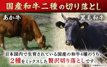 【全12回定期便】熊本県産 くまもと黒毛和牛 あか牛 ミックス 切り落とし 750g 牛肉【熊本県畜産農業協同組合】[YAD038]