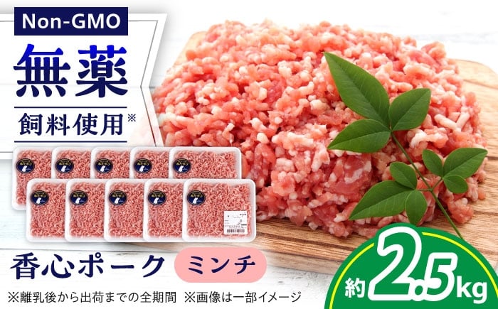 
            『香心ポーク』ミンチ 約250g×10パック（計約2.5kg）豚肉 冷凍 熊本県産 【有限会社 コーシン】 [AYCK005]
          