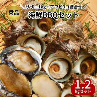 【ふるさと納税】 海鮮 バーベキュー セット 冷凍 サザエ 1kg アワビ 3コ 贅沢 貝 かい 詰め合わせ BBQ 夏 家族 おすすめ 人気 愛知県 南知多町【配送不可地域：北海道・沖縄県・離島】