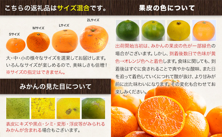 みかん 訳あり くまもとみかん 約5kg S-2Lサイズ サイズ混合 ご家庭用《7-14営業日以内に出荷予定(土日祝除く)》 フルーツ サイズ混合 秋 旬 柑橘 小玉 中玉 大玉 熊本県 荒尾市 熊本
