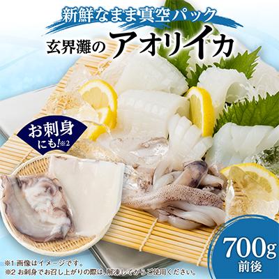 ふるさと納税 壱岐市 アオリイカ(水イカ)処理済み