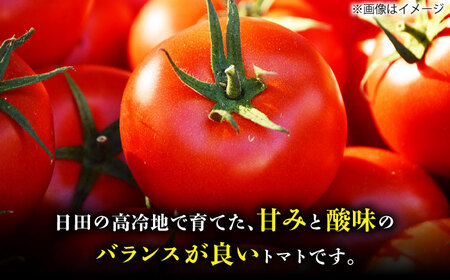【先行予約・4月以降発送】日田の濃縮トマト 2箱 計1.6kg 日田市 / 有限会社マルカ農園（トマトファーム）[ARAH001]