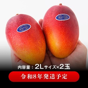 【令和8年発送】宮崎県産完熟マンゴー「果実の宝石」プレミアム 2L×2玉 フルーツ マンゴー