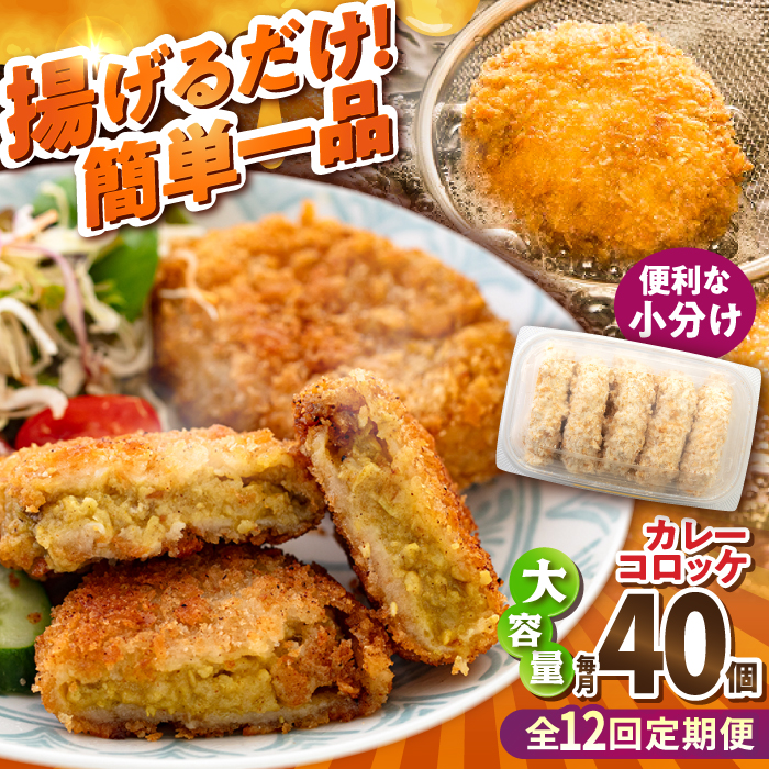 【全12回定期便】カレーコロッケ 40個 3.4kg【有限会社丸伸商事】 [AKFH029]