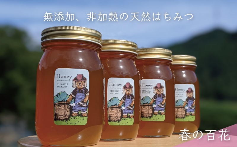 【先行予約 2025年6月20日より発送】合計2400g 天然蜂蜜 国産蜂蜜 非加熱 生はちみつ 岐阜県 美濃市産 春 (蜂蜜600g入りガラス瓶4本)A8 深田養蜂のハチミツ