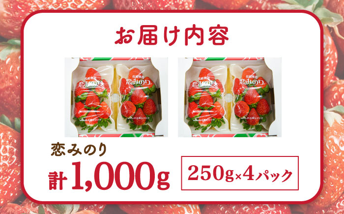 いちご 恋みのり 250g × 4パック / イチゴ 苺 果物 フルーツ / 南島原市 / JA島原雲仙東南部基幹センター [SAC007]