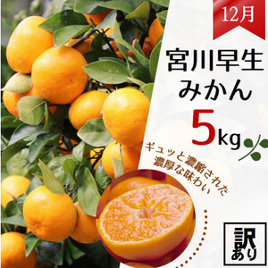 【発送月固定定期便】農家直送!ご家庭用　2種の柑橘定期便(みかん・八朔)各5kg【訳あり】全2回【配送不可地域：離島・北海道・沖縄県】【4053556】