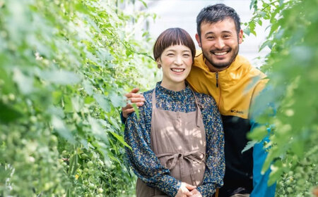 冷凍宮トマト　1.5kg / 冷凍 トマト とまと 野菜 冷凍野菜 ミニトマト / 諫早市 / 宮下農園[AHCG033]