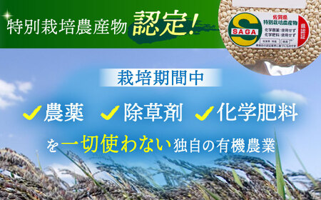 丸麦 500g＜1等麦使用＞江北町産 サチホゴールデン【葦農】 HAJ012 雑穀米 サチホゴールデン