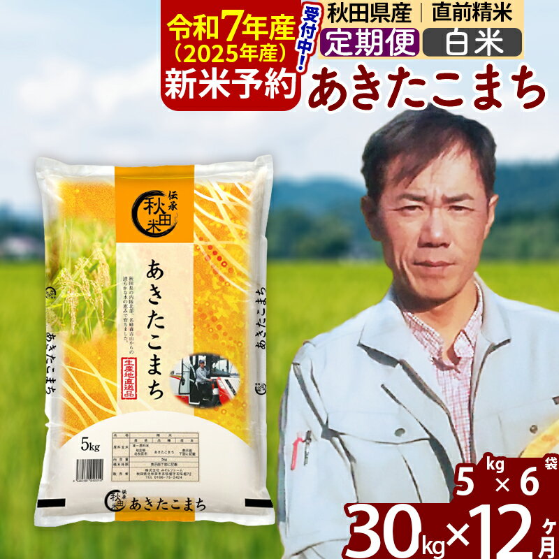 【ふるさと納税】※令和7年産 新米予約※《定期便12ヶ月》秋田県産 あきたこまち 30kg【白米】(5kg)2025年産 お届け周期調整可能 隔月に調整OK お米 みそらファーム