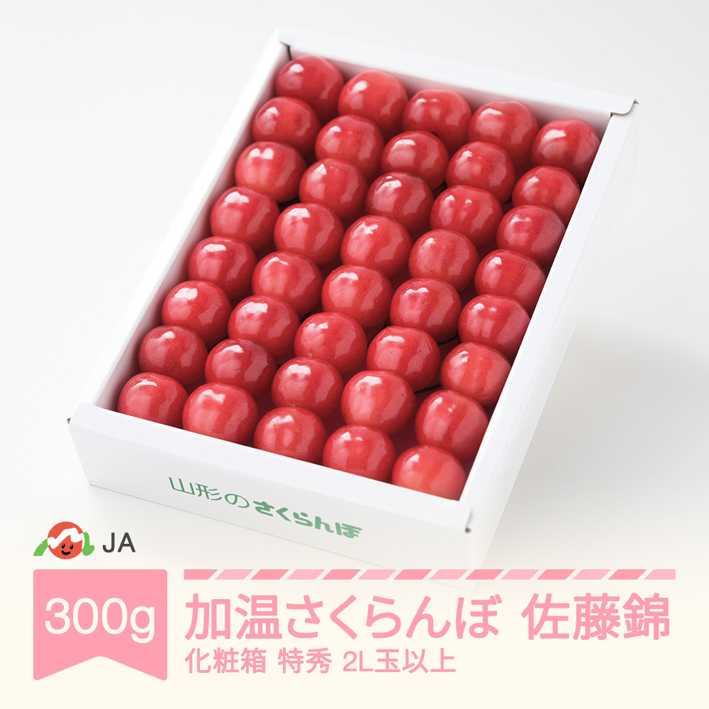 
            先行予約 加温ハウス さくらんぼ 佐藤錦 2026年産 令和8年産 300g 化粧箱 特秀2L玉以上 早出し ja-snk2x300
          