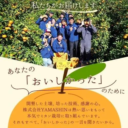 みかん 【2026年9月～発送】青切りみかん 約7.5kg(サイズ混合)【nuk107F】