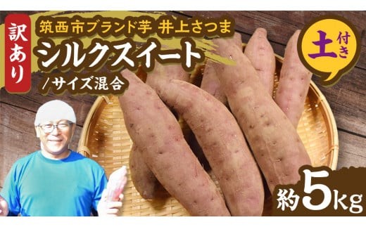 
            【 よしのいも 】訳あり 井上さつま 「 シルクスイート 」 サイズ混合 約5kg ( 土付き ) 特別栽培 特別栽培農産物 完熟 さつまいも いも おいも 焼き芋 芋 おやつ まごころ野菜よしの [DX020ci]
          