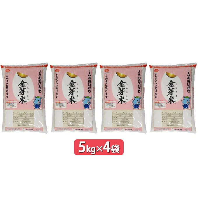 【ふるさと納税】無洗米 静岡県産 JAおおいがわ 金芽米 5kg 4袋 (合計20kg) 米 こめ コメ お米 おこめ 白米 きんめまい JA きぬむすめ ご飯 ライス 静岡 静岡県 島田市 【配送不可：北海道・沖縄・離島】