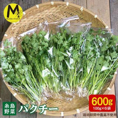 ふるさと納税 糸島市 糸島産 パクチー 600g ( 100g × 6袋 )  [AFD001]