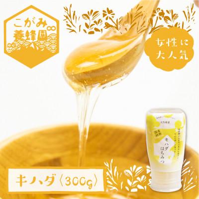 ふるさと納税 飛騨市 キハダ 蜂蜜 300g[Q1203]
