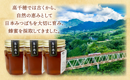 日本みつばち 高千穂の純粋蜂蜜 130g×3本|蜂蜜 はちみつ 日本みつばち 純粋蜂蜜 国産蜂蜜 天然蜂蜜 垂れ蜜 蜜蜂 希少 蜂蜜 濃厚 花 伝統製法 特産品 ふるさと納税 返礼品 宮崎県 高千穂町