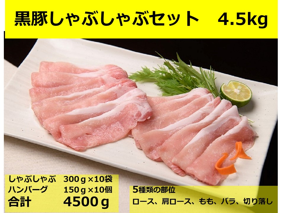 北海道　黒豚しゃぶしゃぶBセット3kg・ハンバーグ10個