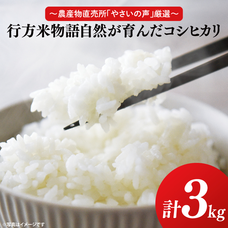 ～農産物直売所「やさいの声」厳選～「行方米物語 - 自然が育んだコシヒカリ３kg」｜米 お米 こめ コシヒカリ ご飯 白ご飯 令和7年産 R7年産 茨城県 行方市(EK-6-2)